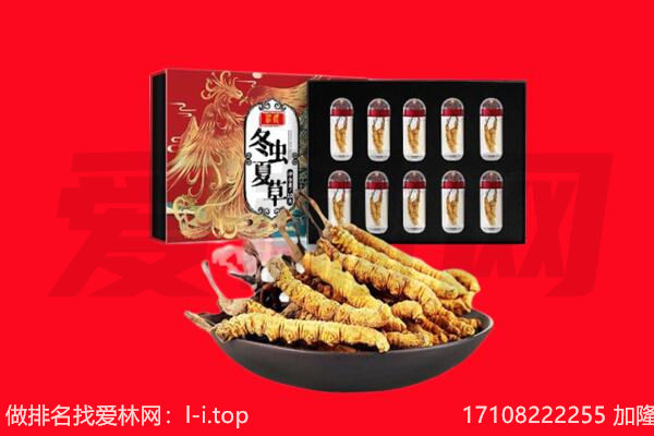 宁波象山县回收虫草.jpg